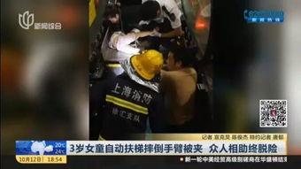 吃人吃瓜事件视频大全集,吃人吃瓜事件视频大全集深度解析