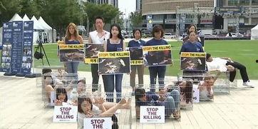 韩国民众吃瓜视频网站在线观看,揭秘热门话题背后的故事