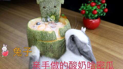 给小兔子吃哈密瓜视频教程,小兔子哈密瓜美食制作教程