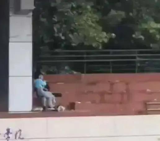 广东大学吃瓜视频,揭秘校园生活趣味瞬间