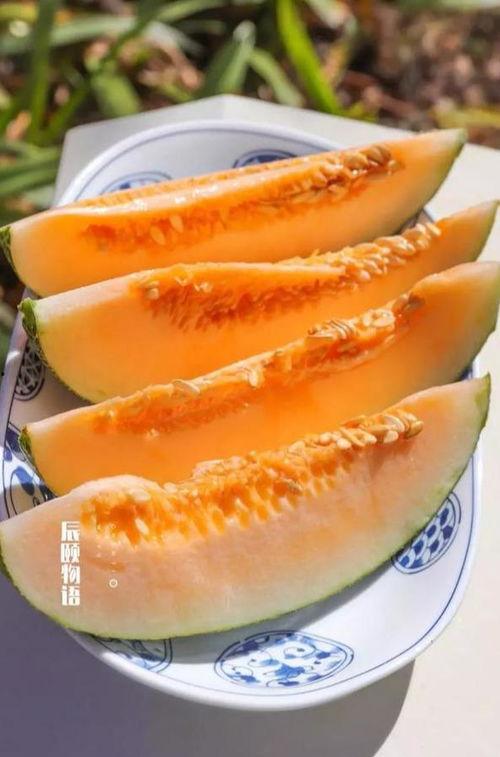 吃西州蜜瓜视频,一场视觉与味蕾的双重盛宴