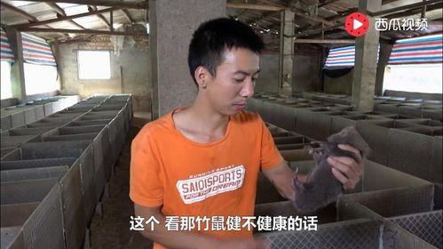 董康潮吃瓜视频,揭秘娱乐圈幕后故事