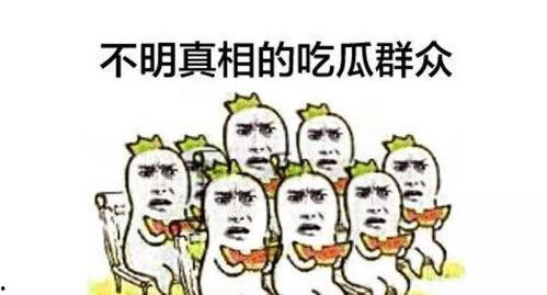 新奇事物吃瓜群众视频,跟随潮流，畅享视觉盛宴