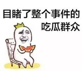 新奇事物吃瓜群众视频,跟随潮流，畅享视觉盛宴