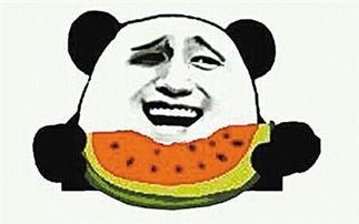 新奇事物吃瓜群众视频,跟随潮流，畅享视觉盛宴
