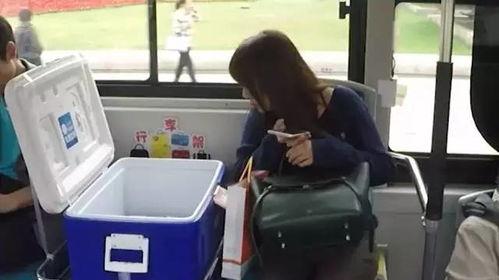 吃瓜整蛊视频,笑料百出，揭秘网络恶搞背后的真相