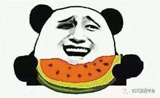 吐槽赛罗吃瓜视频大全,视频大全带你领略明星幕后趣事