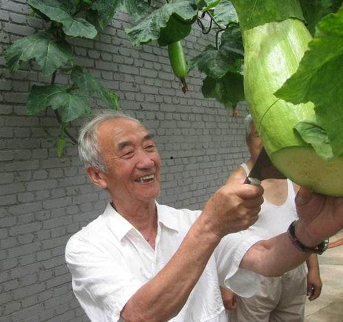 两个吃瓜视频,揭秘两大热门吃瓜视频背后的故事