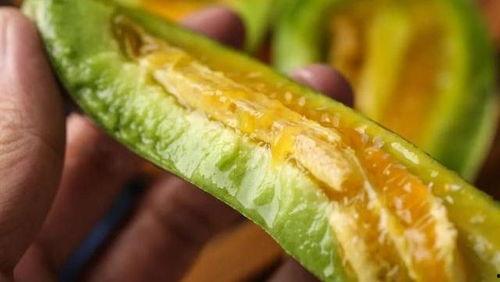 小孩吃羊角蜜瓜好吗视频,儿童食用指南与营养分析
