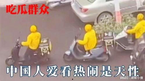 吃瓜不分国界视频,跨越国界的趣味观察