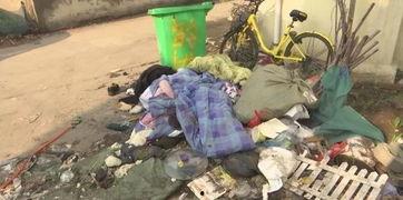 四川山村吃瓜事件视频全集,揭秘乡村美食背后的故事