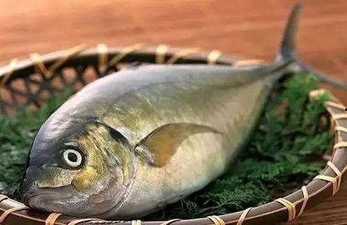 瓜宝鱼怎么吃最好视频讲解,视频详解最佳食用方法