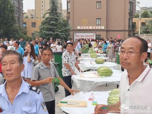 吃瓜视频大全现场观看,吃瓜视频大全，带你领略网络热点的真实瞬间