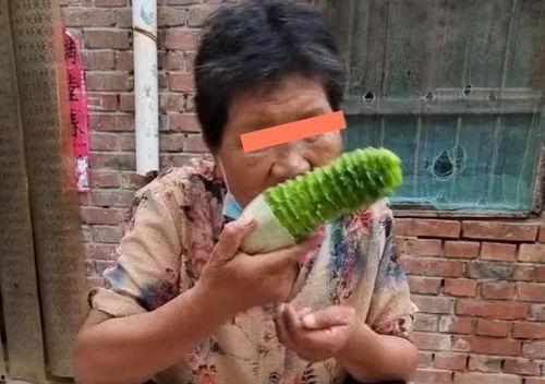 给奶奶吃瓜视频,温馨瞬间，甜蜜满溢