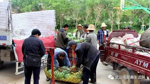 工地群众吃瓜视频,揭秘工地生活趣味瞬间