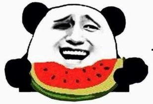 北美吃瓜群众全部吃瓜视频,瓜田里的欢乐时光