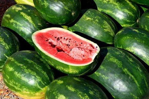 夏季吃瓜素材视频大全,夏季吃瓜素材视频大全盘点