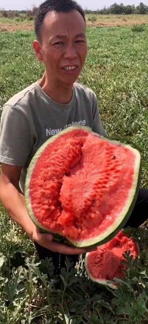 吃瓜颜色视频,揭秘吃瓜视频的视觉盛宴