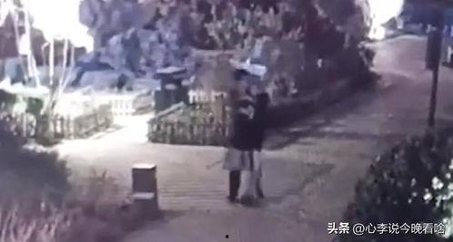 奇葩婆婆吃瓜视频完整版,揭秘家庭纷争背后的惊人真相