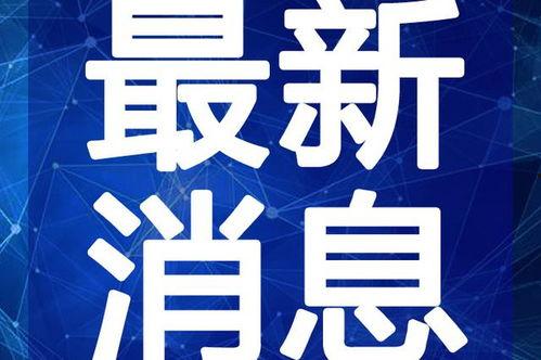 嘉兴吃瓜事件视频最新版,视频最新版揭秘真相与争议