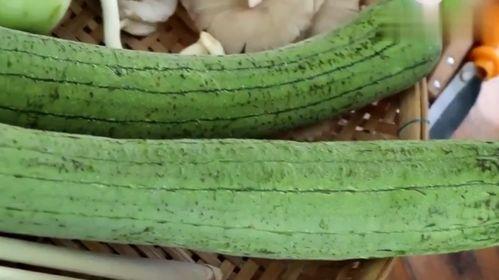 吃生瓜的视频在线观看,跟随视频一起品尝新鲜滋味