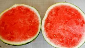 首师大科德吃瓜视频贴吧,揭秘校园热点背后的故事