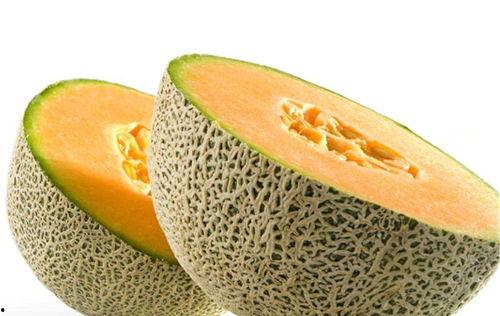 父亲吃哈密瓜视频播放下载,视频播放下载见证甜蜜时光