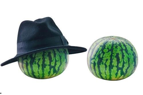 绿色帽子吃瓜视频大全,揭秘网络热点背后的趣味与争议