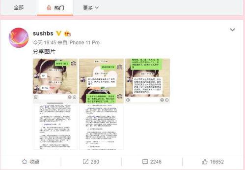 日照吃瓜新闻视频播放网站,热门视频网站带你一网打尽本地新鲜事