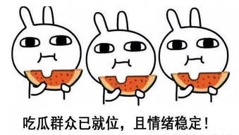 大熊骂人酒神吃瓜视频播放,一场网络视频的火爆对决