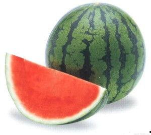 吃瓜抽象解说视频,吃瓜群众视角下的抽象解说视频解析