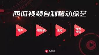 吃瓜抽象解说视频,吃瓜群众视角下的抽象解说视频解析