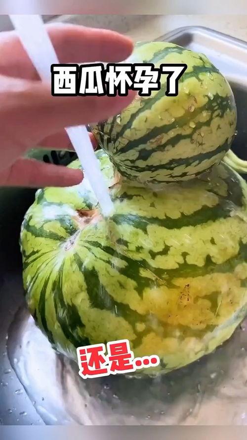 高手搞笑吃瓜视频大全,笑料横生！高手搞笑吃瓜视频大盘点