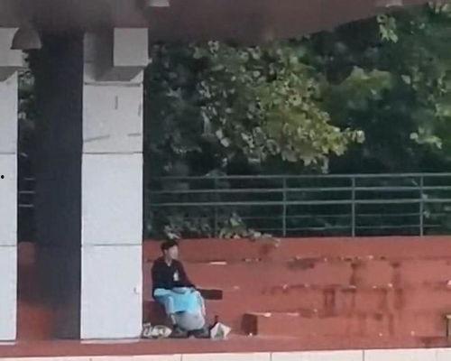 沧县吃瓜事件视频,一场引发热议的网络风波