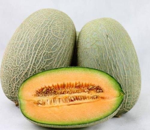 韩国奶奶吃哈密瓜视频大全,甜蜜瞬间全网传颂