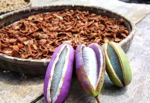 男人吃八月瓜视频大全集,男人味蕾的狂欢之旅