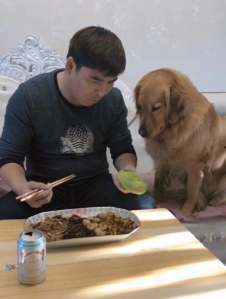 金毛可以吃老瓜粥吗视频,老瓜粥的适宜性揭秘