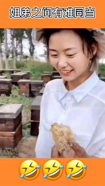 呆瓜吃蜂蜜视频在线观看,趣味吃蜂蜜视频在线观看